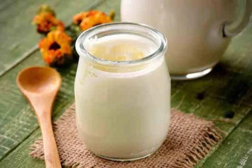 Kefir Diş Çürümelerini Önlüyor